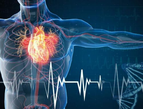 25 09 2025 – Repérage et PEC du risque cardio-vasculaire